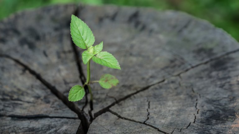 Leaders, What Do Your People Need Right Now?