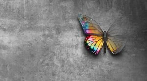 A vividly colored butterfly with a blend of orange, yellow, red, blue, and purple wings rests against a textured gray concrete wall, creating a stark contrast between the vibrant colors and the muted background—a symbol of hope amidst the mundane.