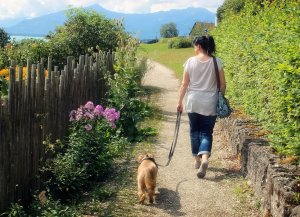 A woman wearing a white top and jeans walks down a gravel path lined with green bushes and flowering plants, finding a moment of calm amid her stressful day. She is holding a leash and walking a small brown dog. The background features mountains and a house under a blue sky.