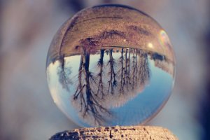 Glass sphere on a tree stump, reflecting an upside-down image of bare trees and a serene landscape. The sphere beautifully captures a miniature world, while the background is softly blurred, emphasizing the clarity and detail within.