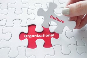 A person is placing a puzzle piece labeled "Culture" into a larger puzzle. The puzzle piece fits into an empty space revealing the word "Organizational" underneath, symbolizing the concept of organizational culture in Government Jobs.