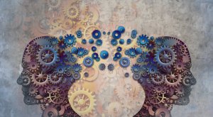Illustration of two human profiles facing each other, filled and surrounded by interlocking gears of various sizes and colors. The gears represent thought processes and communication, symbolizing how careers in government create connections between individuals against a textured background.