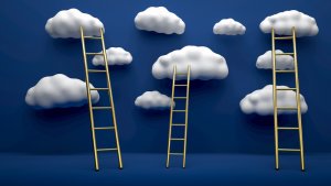 A conceptual illustration features three ladders reaching up to fluffy, white clouds against a deep blue background. The smallest ladder is in the center, with two slightly taller ladders positioned to the left and right, symbolizing the various levels of careers in government.