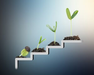 Four seedlings at different stages of growth are placed on a staircase, symbolizing progress and development. The background transitions from dark to light, highlighting each seedling's character as they journey from left to right.