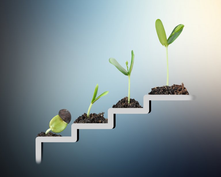 Four seedlings at different stages of growth are placed on a staircase, symbolizing progress and development. The background transitions from dark to light, highlighting each seedling's character as they journey from left to right.
