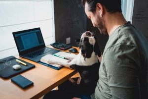 A man wearing a green shirt and AirPods sits at a desk with a laptop, notepad, smartphone, and stationery, enjoying remote work. A small black and white dog is on his lap, reaching up towards his face. The man smiles and interacts with the dog, creating a warm and friendly atmosphere.