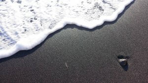 Close-up of a wave gently washing over black sand on a beach. A small stone and a piece of driftwood are managing to stay embedded in the sand. The foam from the wave creates a stark contrast against the dark sand.