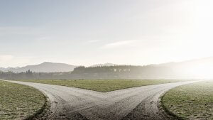 A dirt path splits into two directions across a flat, grassy landscape under a hazy sky. Distant silhouettes of trees and low mountains are visible along both paths, bathed in soft, diffused light, inviting travelers to make a choice between equally enchanting routes.