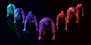 A row of human figures is depicted crawling, each illuminated in different vibrant colors ranging from teal to red. The background is dark, and the reflections of the figures are visible on the glossy surface below. The image has a surreal, abstract feel, symbolizing a journey through culture change.