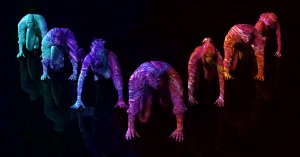 An artistic, multicolored depiction of six human figures with varied colors and patterns, positioned on all fours in a sequence, resembling the evolution stages from ape to modern human. The background is dark, making the vibrant figures stand out, symbolizing the journey of culture change through time.