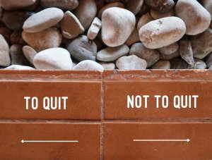 A pile of smooth stones is behind two adjacent brown brick sections. The left section, indicating "RESIGNATION," points with an arrow to the left, while the right section says "NOT TO QUIT" with an arrow directed to the right.