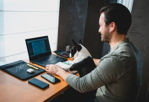 A man wearing a gray shirt is engaged in hybrid working at a wooden desk, where he has a laptop, smartphone, notepad, pen, glasses, and other items. He is using a tablet while holding a black and white dog on his lap and wearing earbuds as light filters through a nearby window.
