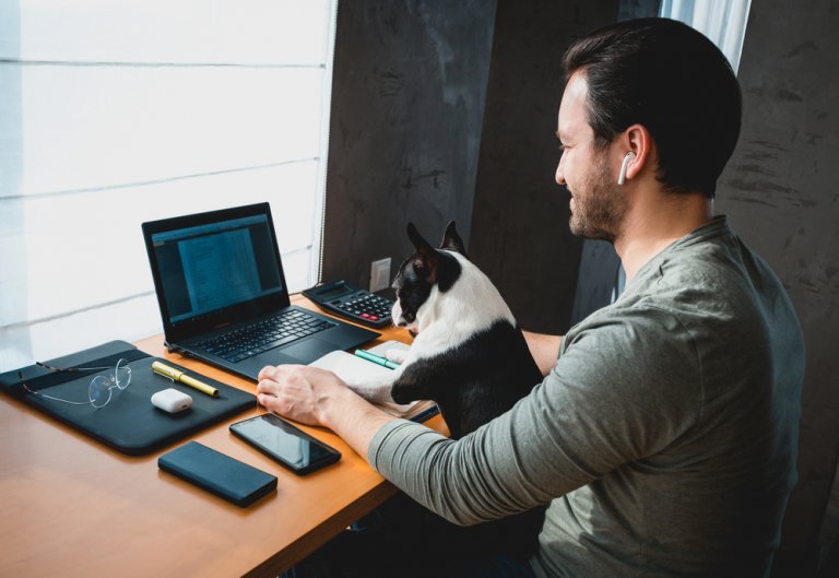 A man wearing a gray shirt is engaged in hybrid working at a wooden desk, where he has a laptop, smartphone, notepad, pen, glasses, and other items. He is using a tablet while holding a black and white dog on his lap and wearing earbuds as light filters through a nearby window.