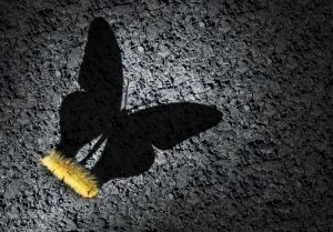 A caterpillar and a butterfly shadow