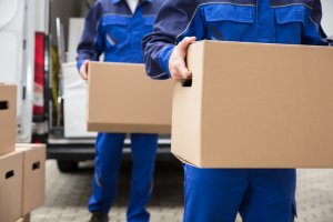 Two people in blue uniforms are carrying cardboard boxes near a van, likely during a government-related moving or delivery process. The focus is on their hands and the boxes they are holding.