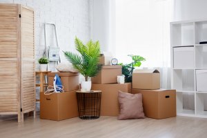 A pile of boxes and stuff ready for relocation