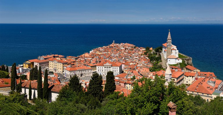 Aerial view of Piran, a coastal town in Slovenia. The town features red-roofed buildings densely packed on a small peninsula jutting into the Adriatic Sea. The prominent structure is the St. George's Parish Church with its bell tower. Greenery surrounds the area. Ready to explore more opportunities? Don't miss out!