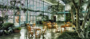 A spacious indoor venue with large windows and abundant natural light. Wooden tables and chairs are scattered throughout the space, surrounded by lush greenery and potted plants. The atmosphere is serene and inviting, resembling a well-maintained greenhouse—perfect for those ready to apply to government jobs in NC!