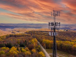 A tall cell tower stands amidst a vast landscape of autumn-colored trees. The sky is filled with dramatic, colorful clouds at sunset, and a winding road, maintained by the government, cuts through the forested hills extending into the distance.