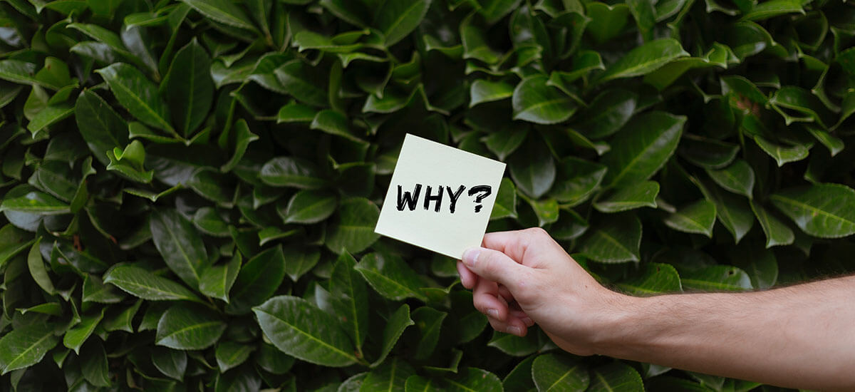 A hand holding a card with WHY written on it