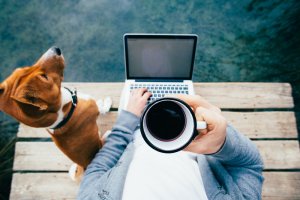 A person is sitting on a wooden dock near water, using a laptop while holding a cup of coffee. A brown and white dog sits beside them, looking out at the water. The scene suggests a peaceful, outdoor working environment, perhaps pondering how governments impact daily life.