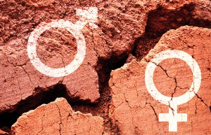 A rough, cracked surface featuring two white gender symbols: the Mars symbol (male) on the left and the Venus symbol (female) on the right. The texture resembles dry, cracked earth or rock formations in reddish-brown tones, emphasizing a raw and elemental representation of gender.