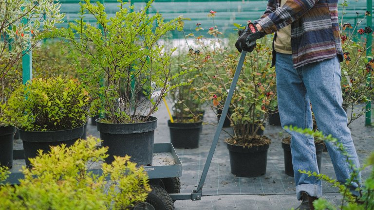 A gardener working in the park - New York State Park - Careers In Government