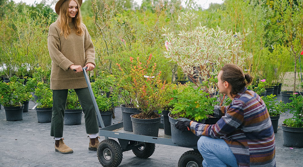 Gardeners working in the park - New York State Park - Careers In Government