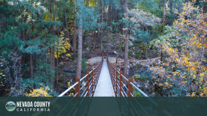 A narrow footbridge stretches into a dense forest of tall trees with autumn foliage in Nevada County. The bridge is seen from one end, leading to a winding path. "Nevada County California" text and logo appear at the bottom.