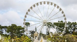 A Ferris wheel in a park with an overview of nature