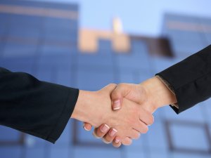Two professional people handshaking