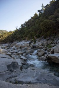 A rocky river flows through a canyon in Nevada County, surrounded by dense green trees on sloping hills under a clear sky.