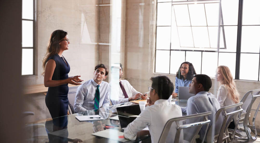 Businesswoman Addressing Colleagues At A Meeting - Atlanta Georgia - Careers In Government