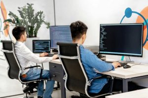 Employees working on the computer for networking
