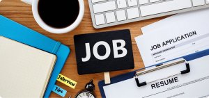 Blog 93 Image 11 - Careers In Government