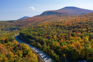 A winding road cuts through a dense forest of autumn trees with vibrant orange, red, and yellow foliage near the City of Albany, set against rolling mountains under a clear blue sky.