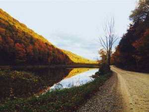 A gravel road curves alongside a calm river reflecting autumn foliage. The hills on both sides are covered with vibrant orange and yellow trees, under a partially cloudy sky. Sparse branches spring from the roadside, enhancing the fall atmosphere.