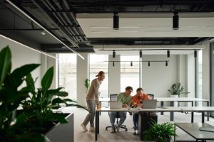 Three people in a modern office embody a collaborative culture as they work together at a desk with laptops, surrounded by green plants and large windows that fill the space with natural light. One stands while the others sit, all focused on their screens.