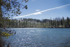 A calm lake reflects sunlight under a clear blue sky, with pine trees and a forested hillside in the background. A few branches frame the image from the left.