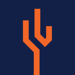 An abstract orange shape resembling a stylized branching tree or circuit on a dark blue background.