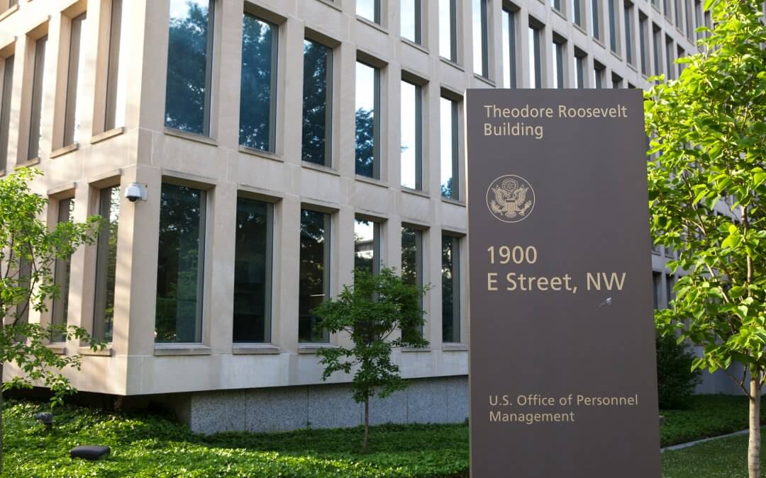 Moving On and Moving Up: Career Strategies After a Federal Layoff