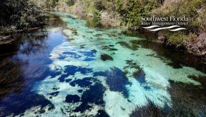 Aerial view of a clear, blue spring near Orlando, surrounded by lush green trees and patches of underwater vegetation. "Southwest Florida Water Management District" logo is in the top right corner.