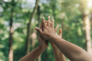 Three hands giving a high five against a blurred green forest background, symbolizing teamwork, unity, and talent. Sunlight filters through the trees, creating a bright and uplifting atmosphere.